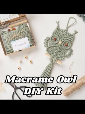 Macrame Owl Wall Hanging in Carrot Orange